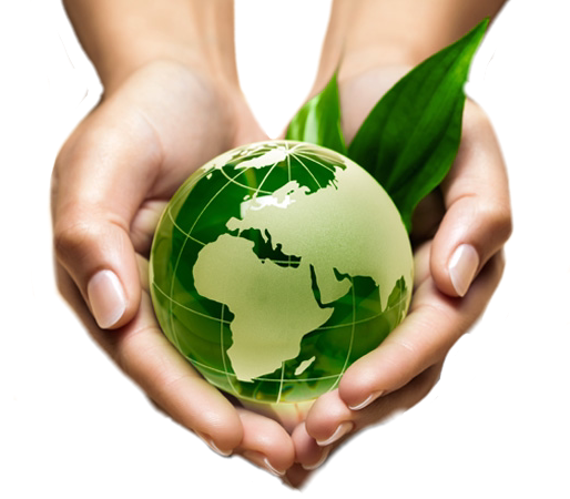 TALO PITTURE INTERVENTI GLOBALI PER L'EDILIZIA SOSTENIBILITA' AMBIENTE